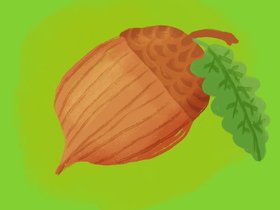Acorn.jpg