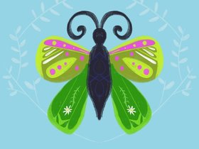 Butterfly.jpg